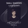 Small Shadows (Moonaddict Remix)