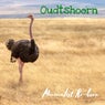 Oudtshoorn