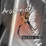 Arachnid