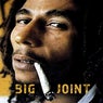 Big Joint