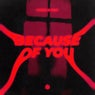 Because of You (Extended Mix)