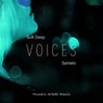 Voices Hussein Arbabi Remix
