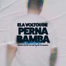 Ela Voltou de Perna Bamba (Remix)