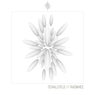 Radiance