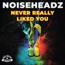 Never Really Liked You