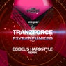 Psyberpunked (Ecibel's Hardstyle Remix)