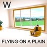 Flying On A Plain