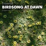 Birdsong At Dawn