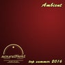 Ambient Top Summer 2016