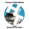 Echoes of Your Voice