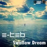 Swallow Dream