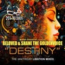 Destiny (Ian Friday Libation Mix)