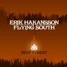 Flying South (Original Mix)