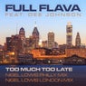 Too Much Too Late (Nigel Lowis Remixes)