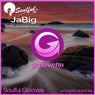Soulful Grooves(Extended Versions)