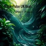 Break Pulse Uk Beat