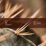 Perception EP