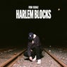 Harlem Blocks