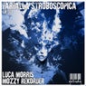 Farfalla Stroboscopica