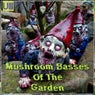 Mushroom Basses Of The Garden