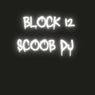 BLOCK 12