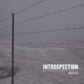Introspection