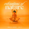 Vibrations of Nature, Vol. 4