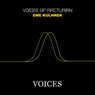 Voices Of Arturian EP