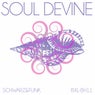 Soul Devine