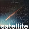 Satellite
