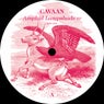 Amphid Lampshade EP