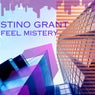 Feel Mistery
