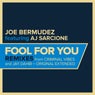 Fool For You: Remixes, Pt. 1
