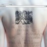 body.404