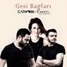 Gesi Bağları