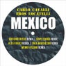 Mexico (The Remix)