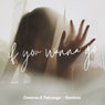 If You Wanna Go (Remixes) (feat. Jemma Johnson)