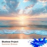 Summer Breeze