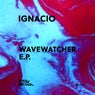 Wavewatcher