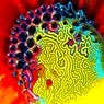 ViVA EMPATHY