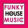 Funky House Music - Vol. 2