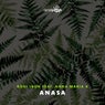 Anasa