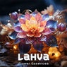 Flower Essences (Night Edit)