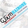 Hairone (Remix)