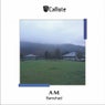 A M