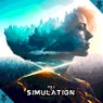 Simulation