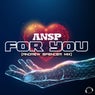 For You (Andrew Spencer Mix)