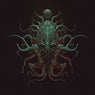 Night Squid / Fried