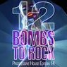 12 Bombs to Rock - Progressive House Edition 14
