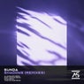 Shadows (Remixes)